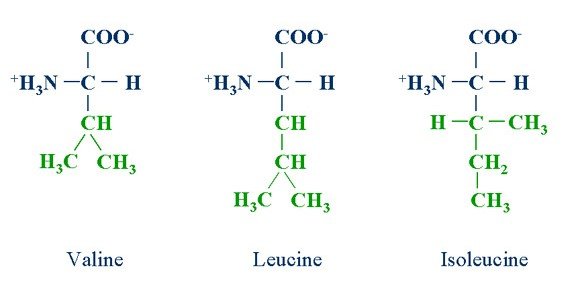 BCA molecule diagram